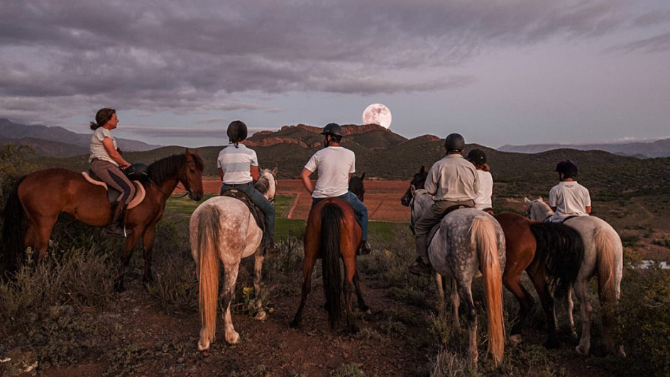 Klein Karoo Horse Riding Adventures